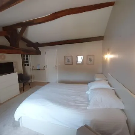 Manoir De L'aubiniere Saint-Julien-de-Concelles